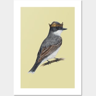 Eastern kingbird Posters and Art